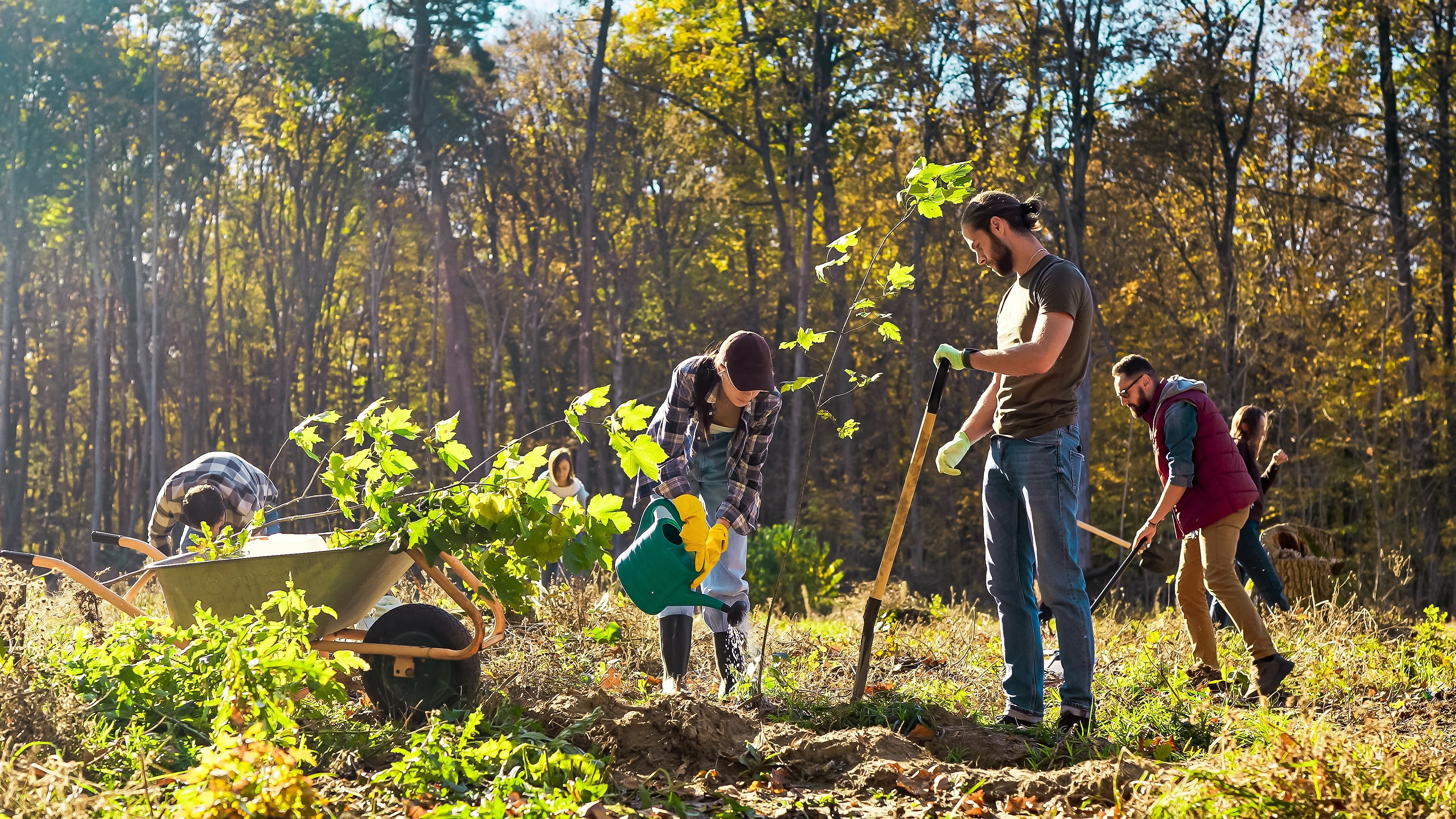 Voluntariado medioambiental dia de la limpieza