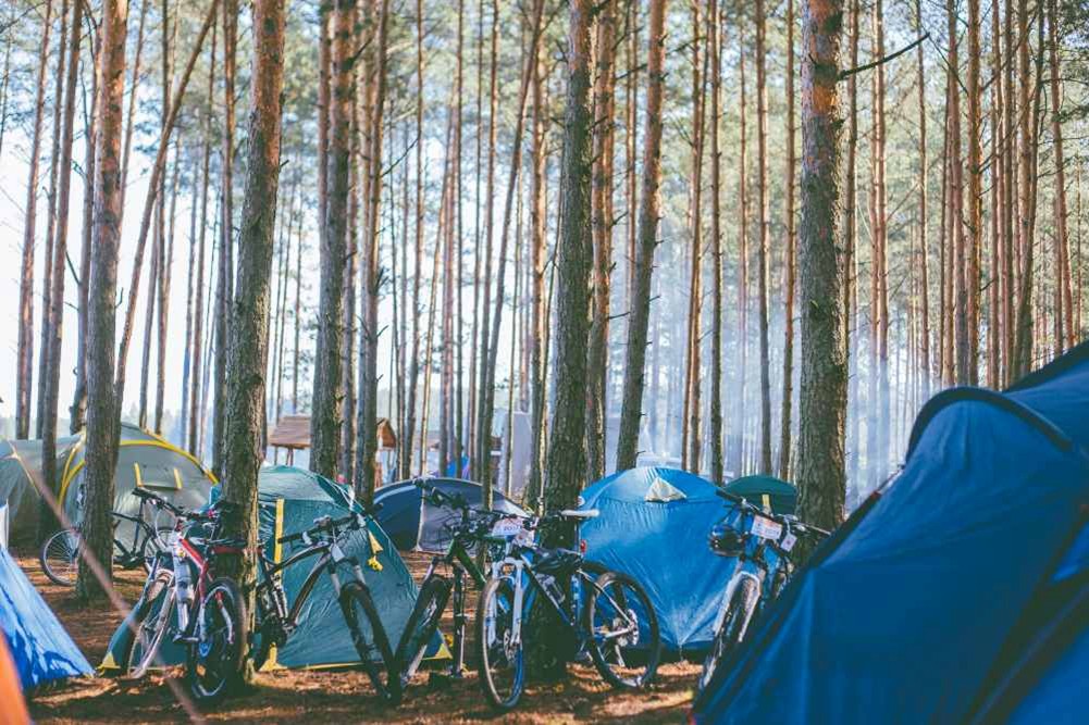Tiendas de campaña y bicicletas en un campamento entre pinos, con luz natural filtrándose entre los árboles