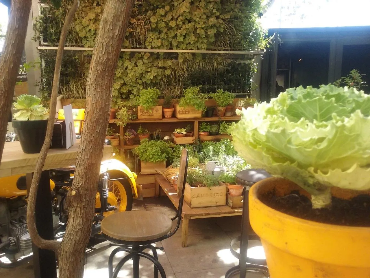 Fotografía de una terraza con plantas
