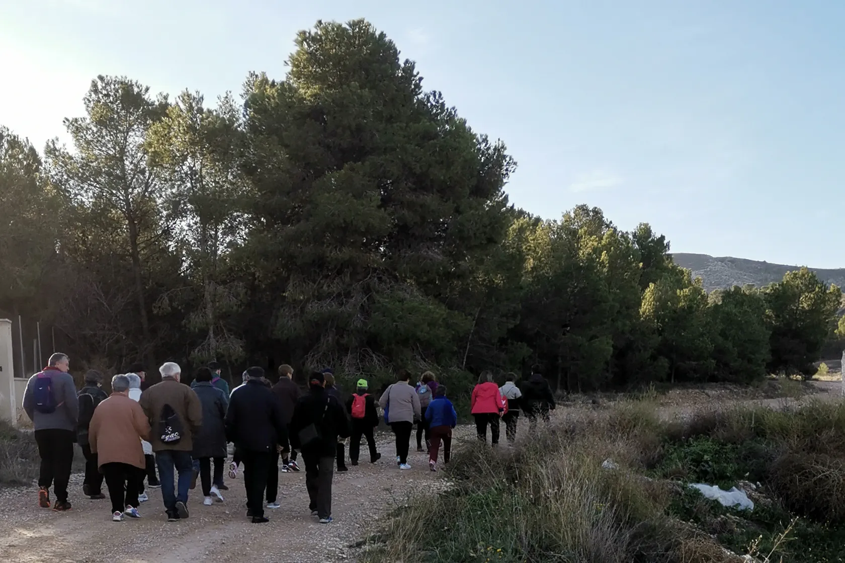 Personas mayores de Yecla practican senderismo en ‘El Colorao’ 